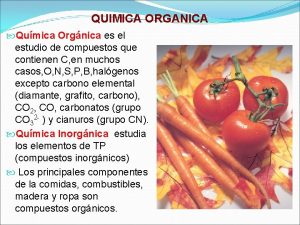 QUIMICA ORGANICA Qumica Orgnica es el estudio de