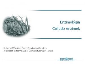 Enzimolgia Cellulz enzimek Budapesti Mszaki s Gazdasgtudomnyi Egyetem