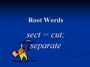 Sect root word
