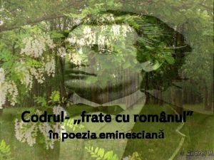 Codrul frate cu romnul n poezia eminescian Codrule