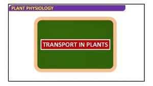 PLANT PHYSIOLOGY TRANSPORT IN PLANTS PLANT PHYSIOLOGY 1