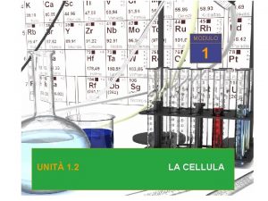 MODULO 1 1 UNIT 1 2 UNITA 1