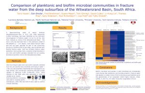 Comparison of planktonic and biofilm microbial communities in