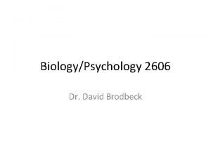 BiologyPsychology 2606 Dr David Brodbeck History and Origins