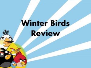 Winter Birds Review Which bird would you see