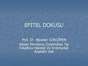 EPTEL DOKUSU Prof Dr Alpaslan GKMEN Adnan Menderes