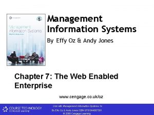 Management Information Systems By Effy Oz Andy Jones