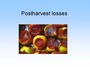 Postharvest losses Postharvest Biology A practical science Primarily