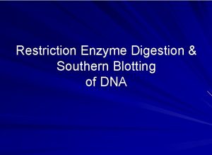 Restriction Enzyme Digestion Southern Blotting of DNA Experiment
