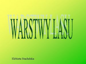 Elbieta Stachelska Warstwy lasu Wysokie drzewa Najwysz warstw