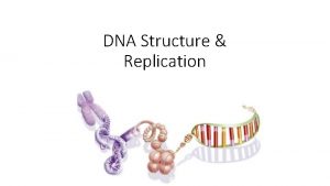 DNA Structure Replication DNA Structure The discovery of