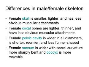 Differences in malefemale skeleton Female skull is smaller