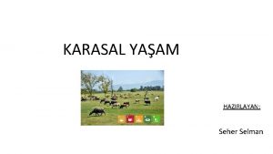 KARASAL YAAM HAZIRLAYAN Seher Selman KARASAL YAAM NEDR