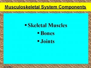 Musculoskeletal System Components Skeletal Muscles Bones Joints 12142021