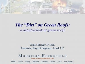 The Dirt on Green Roofs a detailed look