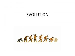 EVOLUTION 3 Domain and Kingdom System of Classification