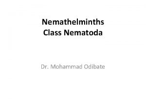 Nemathelminths Class Nematoda Dr Mohammad Odibate Nematodes General