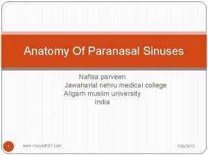 Anatomy Of Paranasal Sinuses Nafisa parveen Jawaharlal nehru