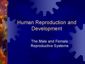 Human Reproduction and Development The Male and Female
