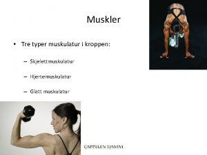 Muskler Tre typer muskulatur i kroppen Skjelettmuskulatur Hjertemuskulatur