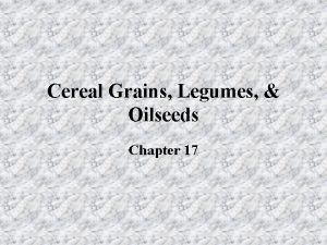 Cereal Grains Legumes Oilseeds Chapter 17 Cereal Grains
