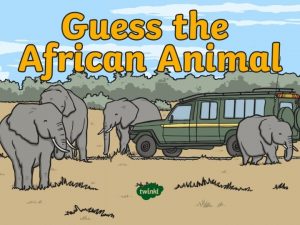 Guess the African Animal 1 2 What am