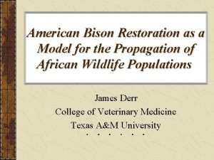 American Bison Restoration as a Model for the