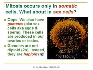 Mitosis occurs only in somatic cells What about