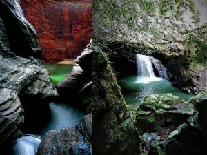 El parque nacional Springbrook est situado en Queensland