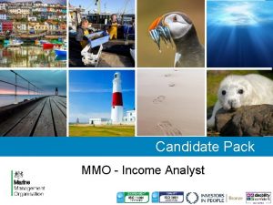 Candidate Pack MMO Income Analyst Welcome About the