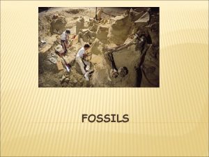 FOSSILS FOSSILS v Questions v How do fossils