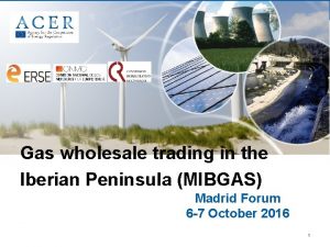Gas wholesale trading in the Iberian Peninsula MIBGAS