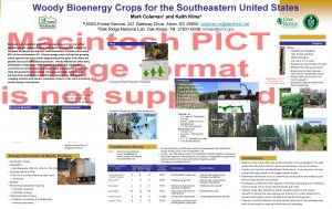 Woody Bioenergy Crops for the Southeastern United States