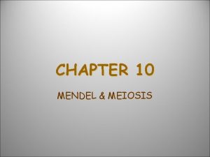 CHAPTER 10 MENDEL MEIOSIS MENDELS LAWS OF HEREDITY