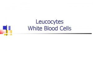 Leucocytes White Blood Cells White Blood Corpuscles White