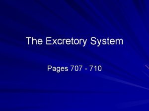 The Excretory System Pages 707 710 Excretory System