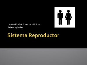 Universidad de Ciencias Mdicas Ariana Yglesias Sistema Reproductor
