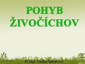 POHYB IVOCHOV 14 12 2021 3 50 Mgr