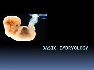 BASIC EMBRYOLOGY Embryology Definition the study of the