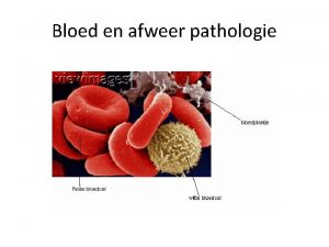 Bloed en afweer pathologie Ziekten van het bloed