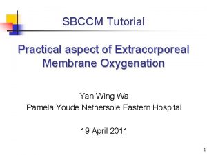 SBCCM Tutorial Practical aspect of Extracorporeal Membrane Oxygenation