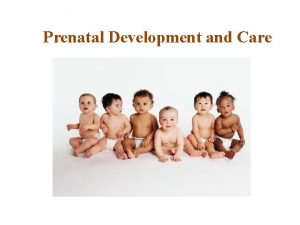 Prenatal Development and Care Ovulation happens each month