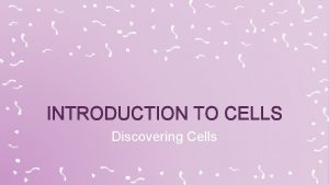 INTRODUCTION TO CELLS Discovering Cells WHAT ARE CELLS