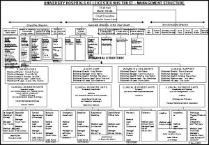 UNIVERSITY HOSPITALS OF LEICESTER NHS TRUST MANAGEMENT STRUCTURE