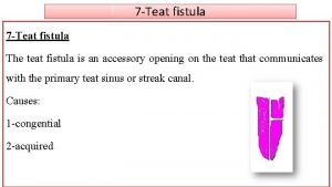 7 Teat fistula The teat fistula is an