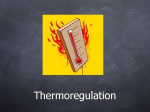 Thermoregulation Thermoregulation Maintaining a stable body temperature for