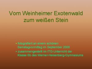 Vom Weinheimer Exotenwald zum weien Stein fotografiert an