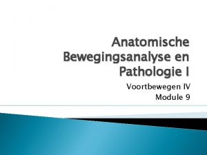 Anatomische Bewegingsanalyse en Pathologie I Voortbewegen IV Module