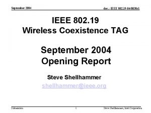 September 2004 doc IEEE 802 19 040030 r