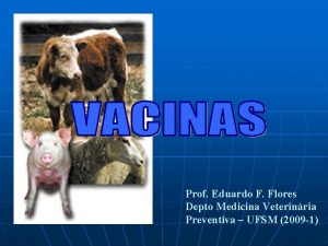 Prof Eduardo F Flores Depto Medicina Veterinria Preventiva